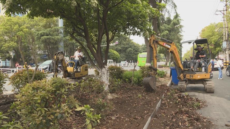 應城市園林綠化服務中心全面啟動漢宜大道、古城大道綠化改造及體育場地設施工程建設